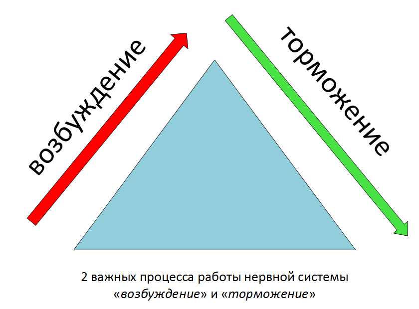 otdih v techeniye dnya