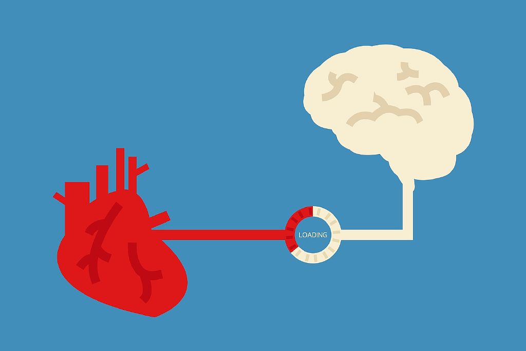 brain and heart