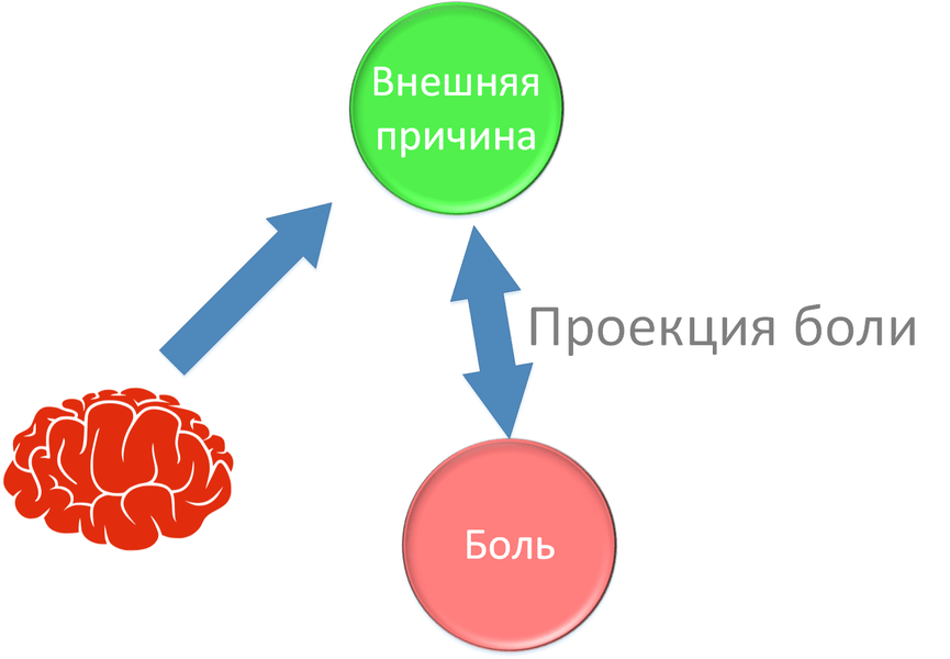 Проекция боли. Схема возникновения проецируемой боли. Проекционная боль механизм. Проекционные и отраженные боли. Схема возникновения проекционной боли.